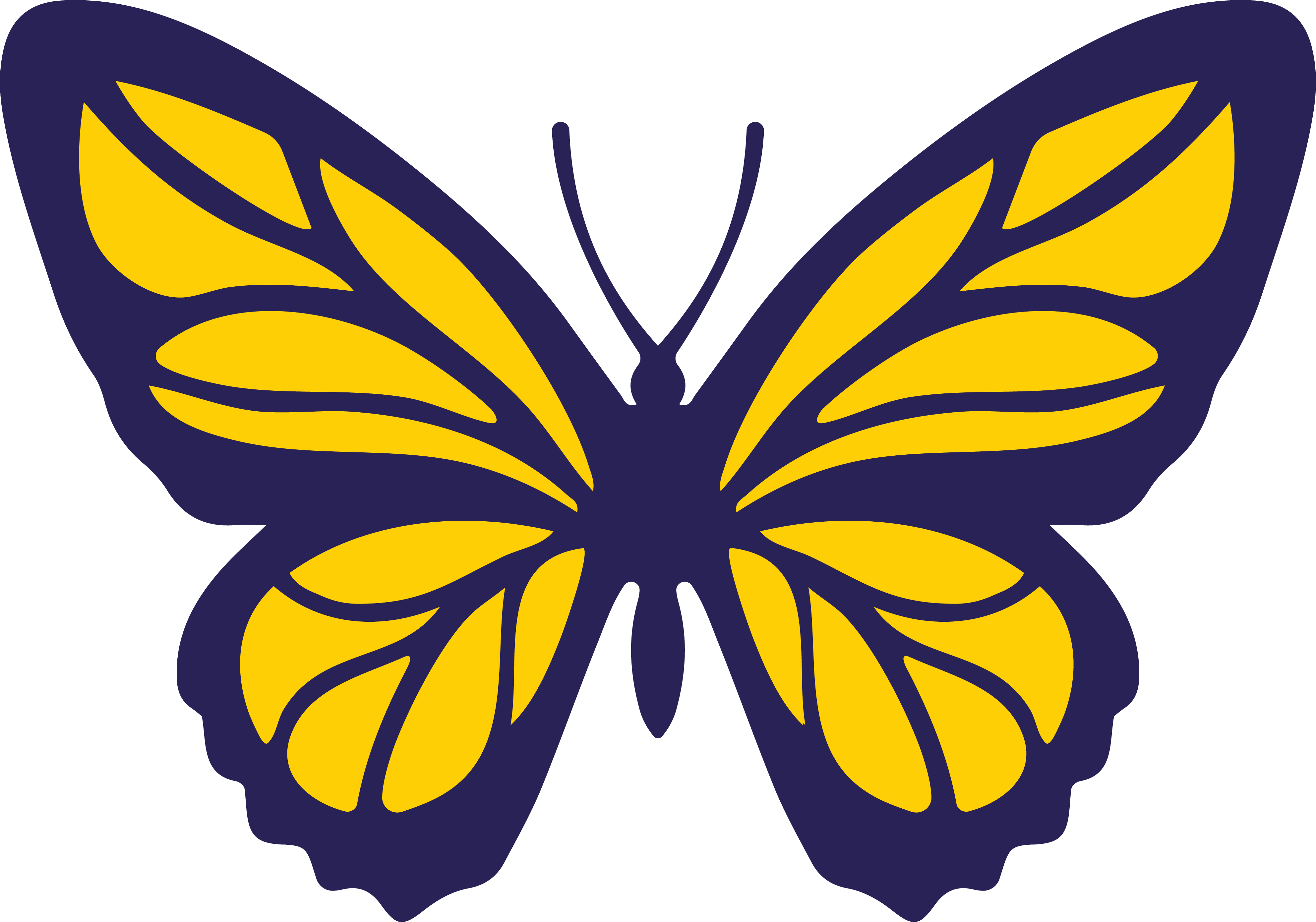 Nia butterfly